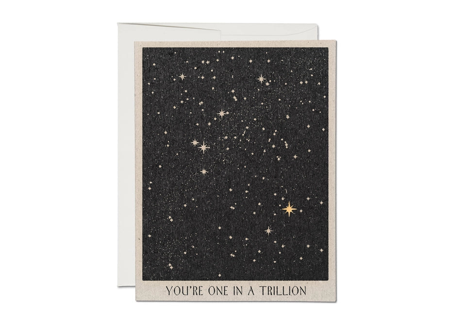 One in A Trillion Friendship Greeting Card
