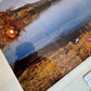Photo detail