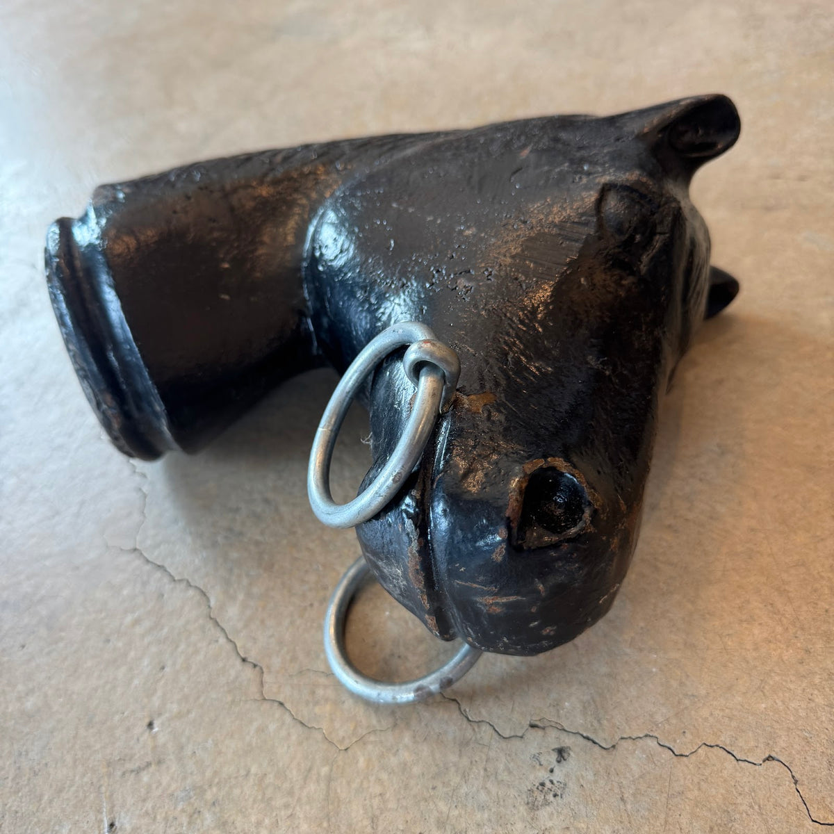 Horse head with nose rings