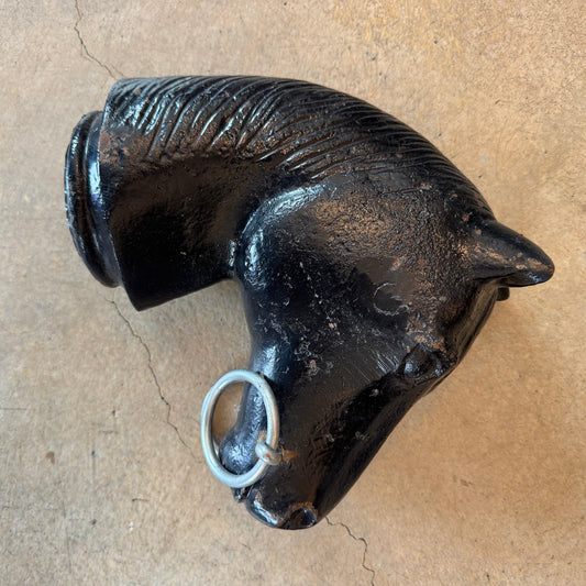 Horse head from above
